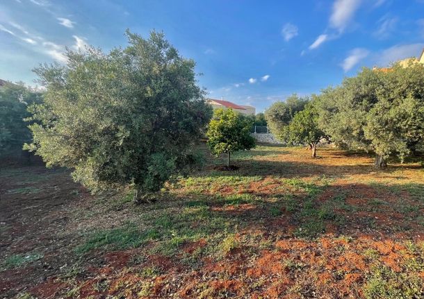 Land plot 1.453 sqm for sale, Rethymno Prefecture, Nikiforos Fokas