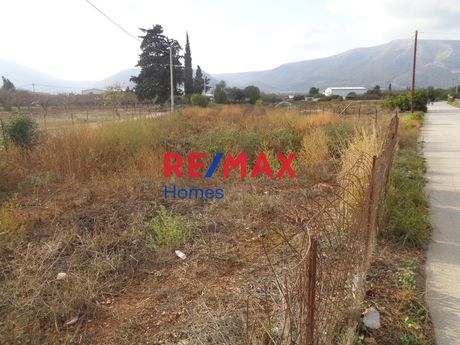 Parcel 2.006sqm for sale-Koropi