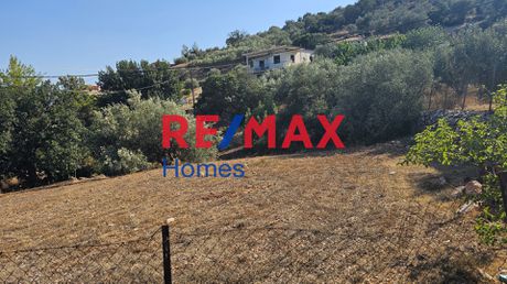 Οικόπεδο 519,36τ.μ. για πώληση-Βόρεια κυνουρία