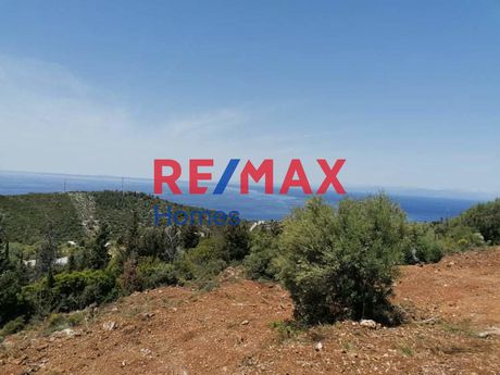 Αγροτεμάχια 4.207,96τ.μ. για πώληση-Λευκάδα