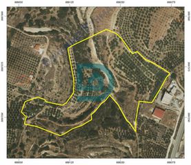 Αγροτεμάχια 44.560 τ.μ. για πώληση