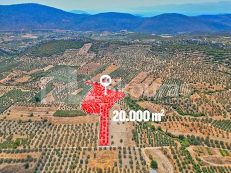 Αγροτεμάχια 20.000τ.μ. για πώληση-Ασκληπιείο