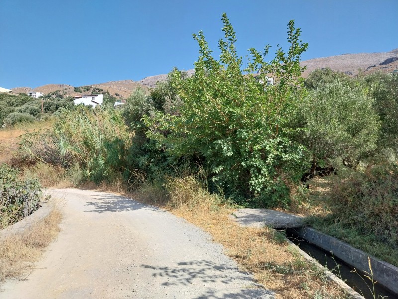 Οικόπεδο 1.931 τ.μ. πρός πώληση, Ν. Ρεθύμνου, Φοινίκας