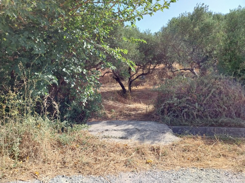 Οικόπεδο 1.931 τ.μ. πρός πώληση, Ν. Ρεθύμνου, Φοινίκας