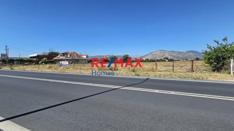 Αγροτεμάχια 3.946,25τ.μ. για πώληση-Κουτσοπόδι
