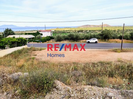 Οικόπεδο 588,68τ.μ. για πώληση-Βόρεια κυνουρία