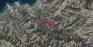 Αγροτεμάχια 4.020 τ.μ. για πώληση
