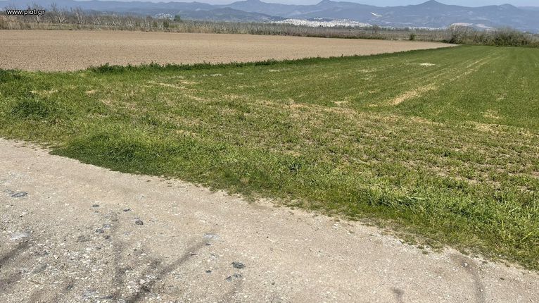 Αγροτεμάχια 5.500 τ.μ. για πώληση, Φθιώτιδας, Λαμία