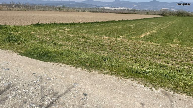 Αγροτεμάχια 11.000 τ.μ. για πώληση, Φθιώτιδας, Στυλίδα