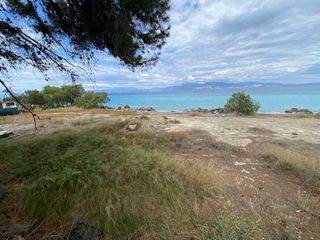 Οικόπεδο 1.800 τ.μ. για ενοικίαση