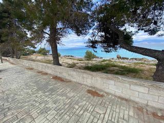 Οικόπεδο 1.800 τ.μ. για ενοικίαση, Κορινθία, Ξυλόκαστρο-thumb-14