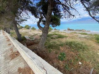 Οικόπεδο 1.800 τ.μ. για ενοικίαση, Κορινθία, Ξυλόκαστρο-thumb-12