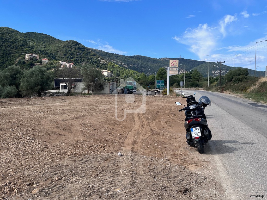 Αγροτεμάχια 1.500 τ.μ. προς ενοικίαση, Γραικοχώρι