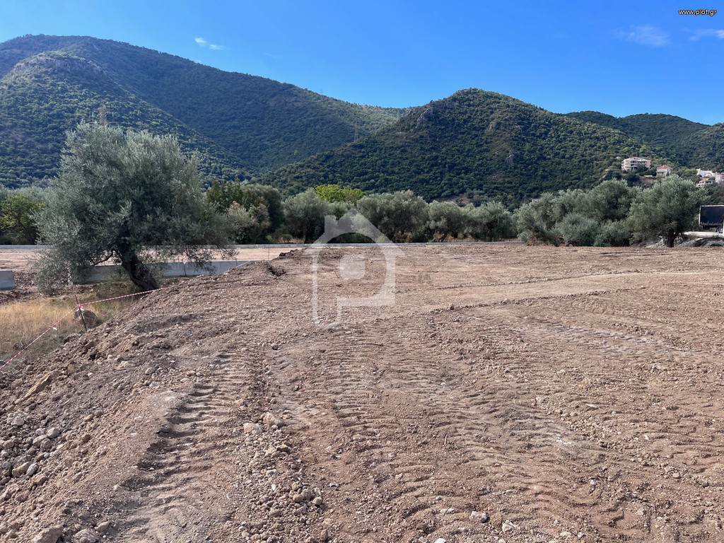 Αγροτεμάχια 1.500 τ.μ. προς ενοικίαση, Γραικοχώρι