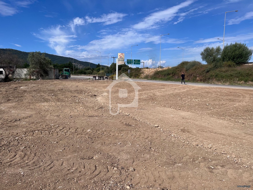 Αγροτεμάχια 1.500 τ.μ. προς ενοικίαση, Γραικοχώρι