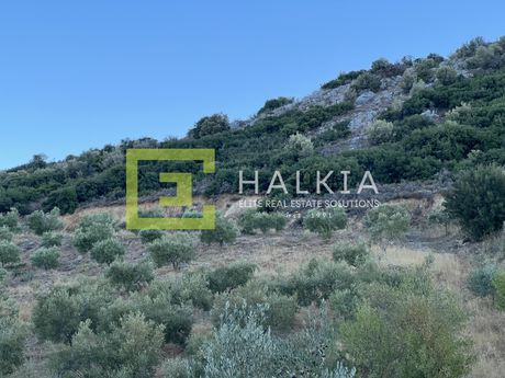 Αγροτεμάχια 5.700τ.μ. για πώληση-Αισωνία » Διμήνι