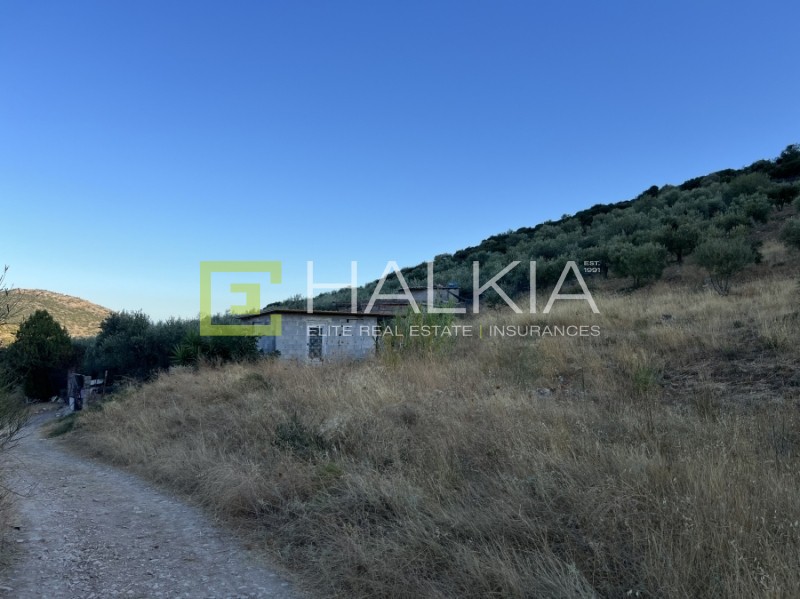 Αγροτεμάχια 5.700 τ.μ. πρός πώληση, Μαγνησία, Αισωνία