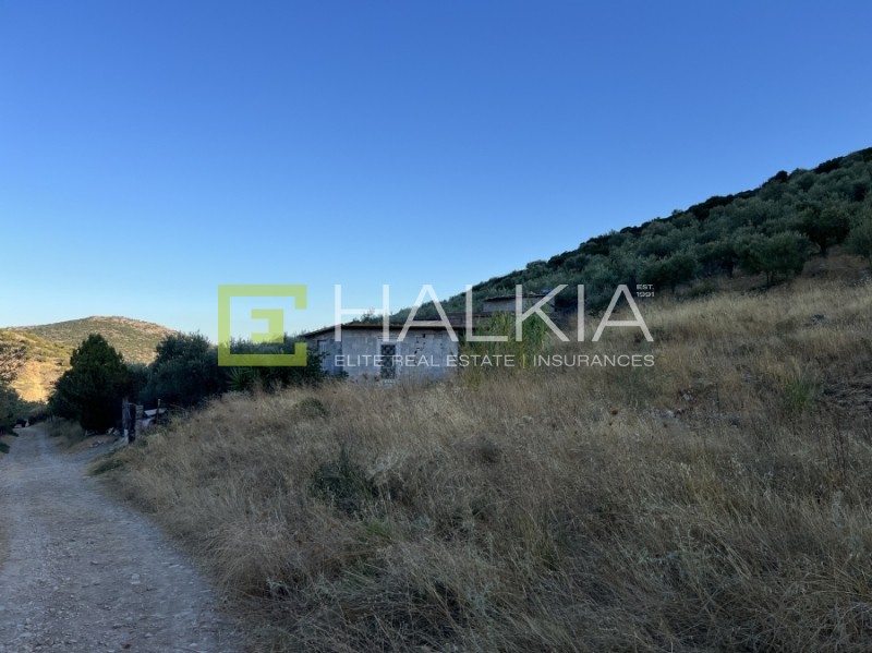 Αγροτεμάχια 5.700 τ.μ. πρός πώληση, Μαγνησία, Αισωνία