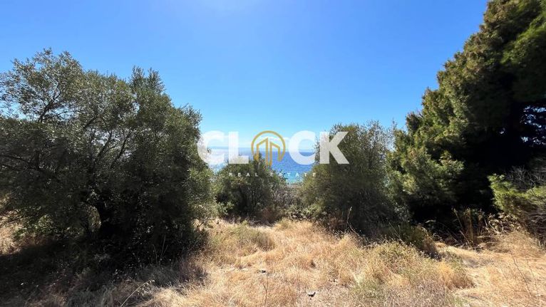 Αγροτεμάχια 1.200 τ.μ. για πώληση, Χαλκιδική, Σιθωνία