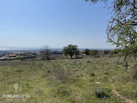 Αγροτεμάχια 4.000τ.μ. για πώληση-Πανόραμα » Οικισμός τοπογράφων