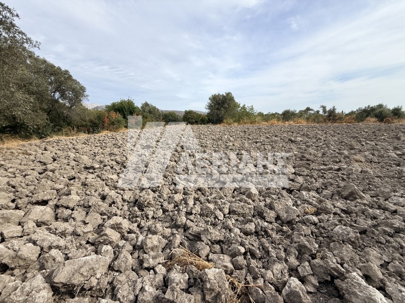 Οικόπεδο 4.008 τ.μ. πρός πώληση, Ν. Χίου, Χίος