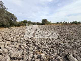 Οικόπεδο 4.008 τ.μ. πρός πώληση, Ν. Χίου, Χίος-thumb-3