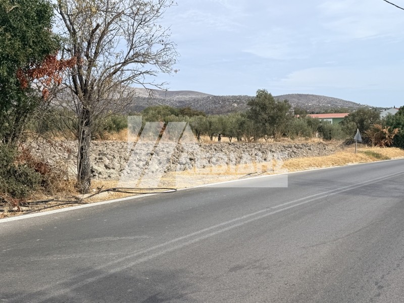 Οικόπεδο 4.008 τ.μ. πρός πώληση, Ν. Χίου, Χίος