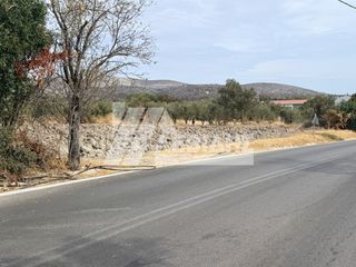 Οικόπεδο 4.008 τ.μ. πρός πώληση, Ν. Χίου, Χίος-thumb-2