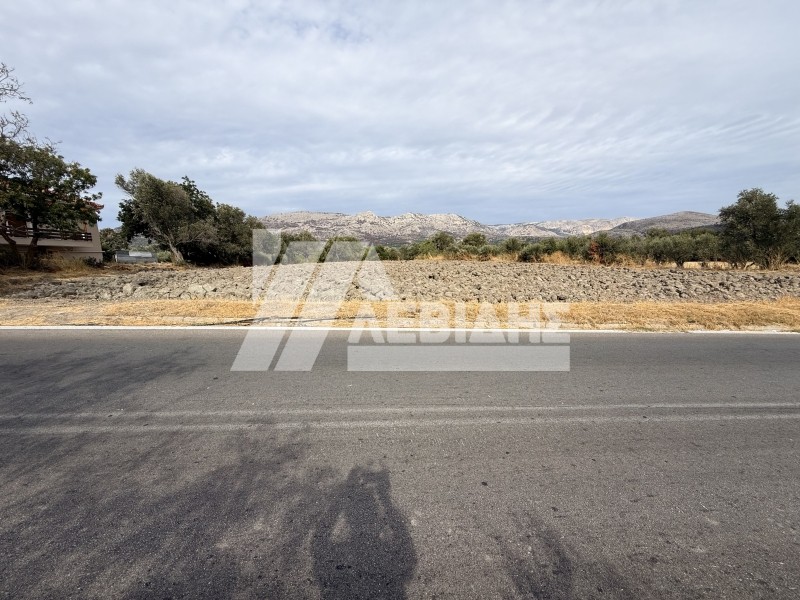 Οικόπεδο 4.008 τ.μ. πρός πώληση, Ν. Χίου, Χίος