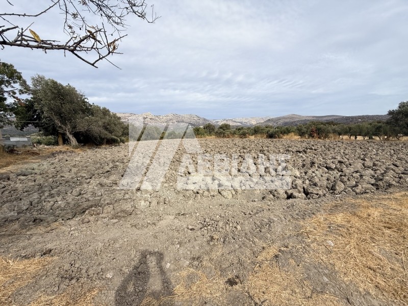 Οικόπεδο 4.008 τ.μ. πρός πώληση, Ν. Χίου, Χίος