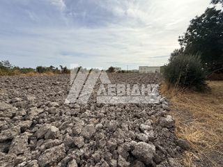 Οικόπεδο 4.008 τ.μ. πρός πώληση, Ν. Χίου, Χίος-thumb-5