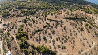 Αγροτεμάχια 17.000 τ.μ. για πώληση, Αργολίδα, Κρανίδι-thumb-9