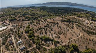 Αγροτεμάχια 17.000 τ.μ. για πώληση, Αργολίδα, Κρανίδι-thumb-8