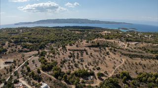 Αγροτεμάχια 17.000 τ.μ. για πώληση