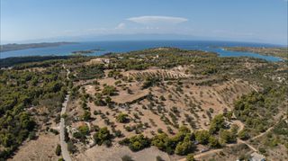 Αγροτεμάχια 17.000 τ.μ. για πώληση, Αργολίδα, Κρανίδι-thumb-16