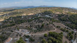 Αγροτεμάχια 17.000 τ.μ. για πώληση, Αργολίδα, Κρανίδι-thumb-22