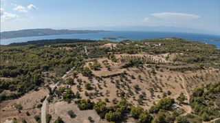 Αγροτεμάχια 17.000 τ.μ. για πώληση, Αργολίδα, Κρανίδι-thumb-14