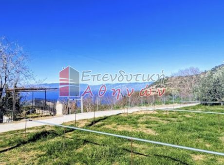 Οικόπεδο 735τ.μ. για πώληση-Ξυλόκαστρο » Αμφιθέα