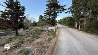 Οικόπεδο 3.585 τ.μ. για πώληση
