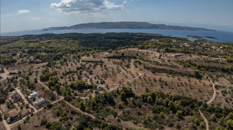 Parcel 33.500sqm for sale-Kranidi » Chinitsa