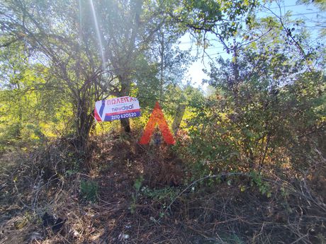 Parcel 2.118sqm for sale-Ioannina » Kardamitsia