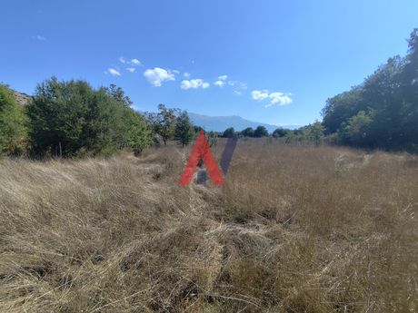 Parcel 4.024sqm for sale-Ioannina » Kardamitsia