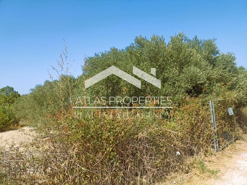 Land plot 6.494 sqm for sale, Rethymno Prefecture, Lappa