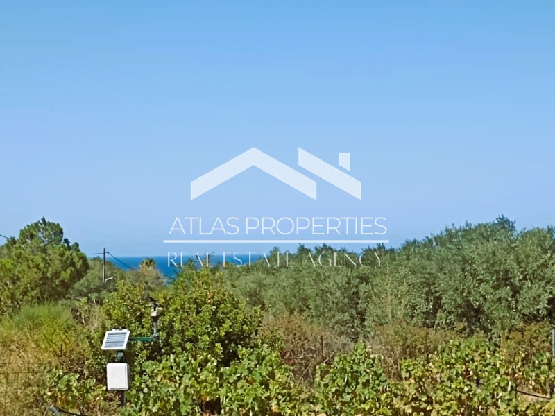 Land plot 6.494 sqm for sale, Rethymno Prefecture, Lappa