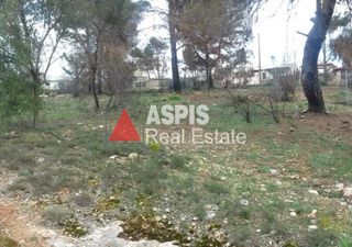 Αγροτεμάχια 2.300 τ.μ. προς πώληση