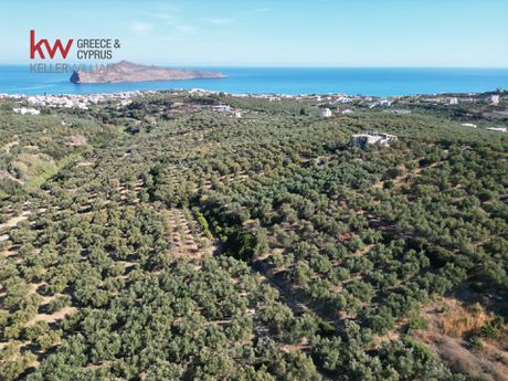 Οικόπεδο 4.245τ.μ. για πώληση-Νέα κυδωνία