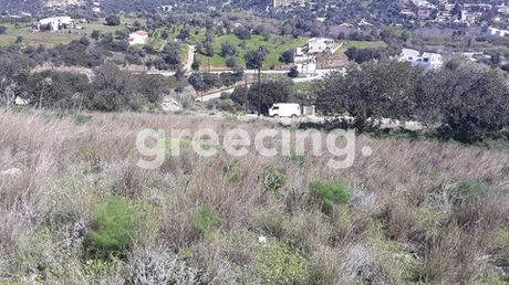 Οικόπεδο 645τ.μ. για πώληση-Λεβίδι
