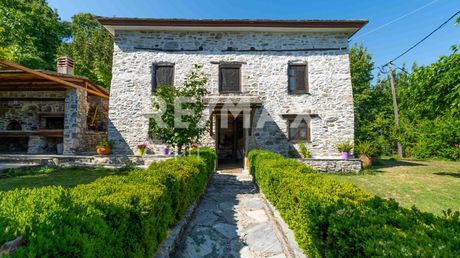 Ξενοδοχείο 297τ.μ. για πώληση-Μούρεσι » Κέντρο