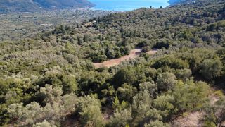 Αγροτεμάχια 4.350 τ.μ. για πώληση, Ν. Λευκάδας, Λευκάδα-thumb-6