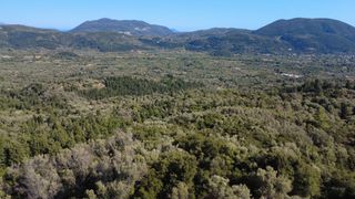 Αγροτεμάχια 4.350 τ.μ. για πώληση, Ν. Λευκάδας, Λευκάδα-thumb-7